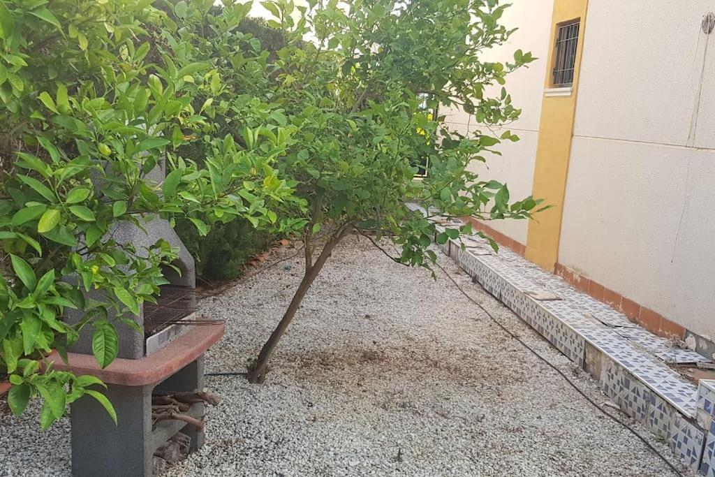 Punta Prima bungalow jardín privado Torrevieja Exterior foto