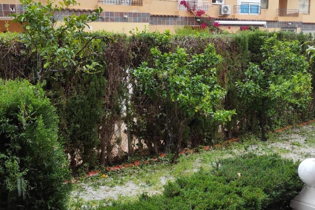 Punta Prima bungalow jardín privado Torrevieja Exterior foto
