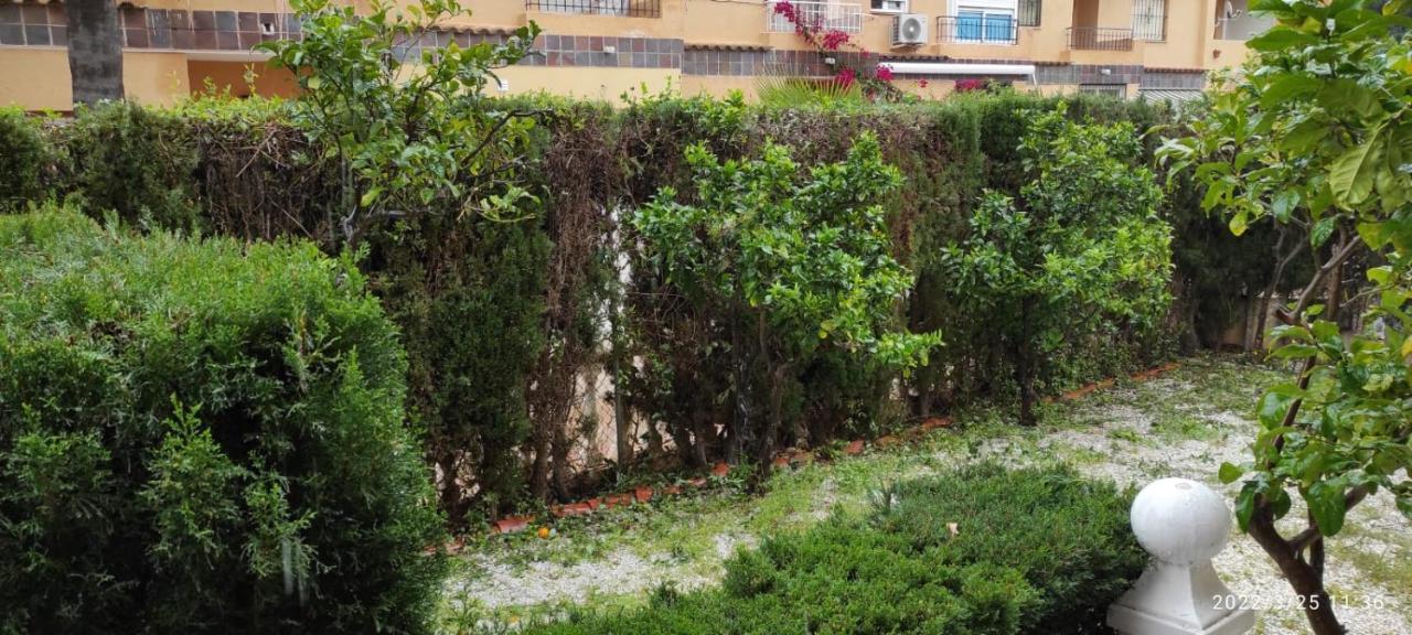 Punta Prima bungalow jardín privado Torrevieja Exterior foto